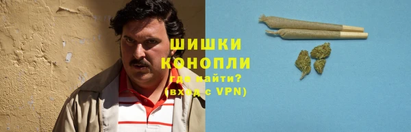 прущая мука Инсар