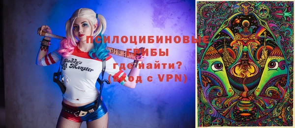 прущая мука Инсар